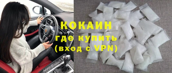 шишки Богородск