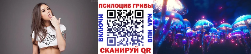 мега как зайти Калининец Галлюциногенные грибы Psilocybe